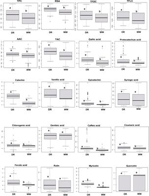 Integration of genome-wide association studies, metabolomics, and transcriptomics reveals phenolic acid- and flavonoid-associated genes and their regulatory elements under drought stress in rapeseed flowers